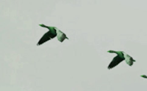 �w��С�B����