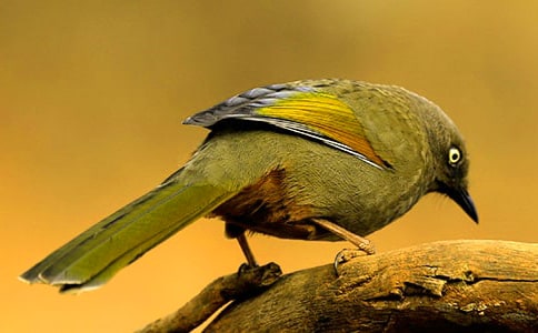 ���oС�B��һ����7ƪ