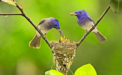 ���wС�B���D��Ԓ����(j��ng)�䡿