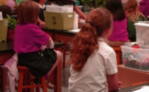 小學(xué)生組長競選稿(通用7篇)