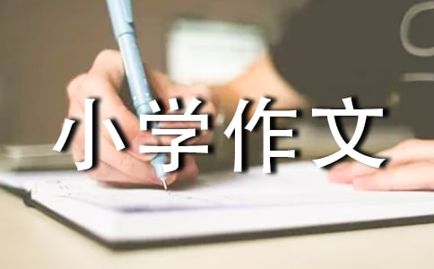[�]]�ҵİ༉(j��)С�W(xu��)����