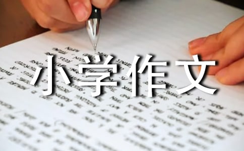 �ҿ���С�W(xu��)����ͨ��15ƪ