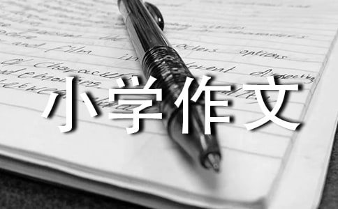 短信趣事小學作文