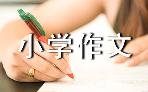 �ɐ۵�С�W(xu��)����