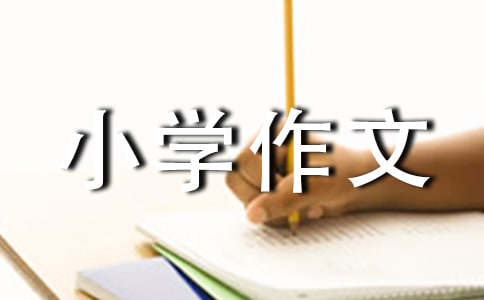 �P(gu��n)��С�W(xu��)���ľ��x(15ƪ)