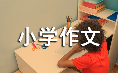 【精選】我的生活小學(xué)作文合集9篇