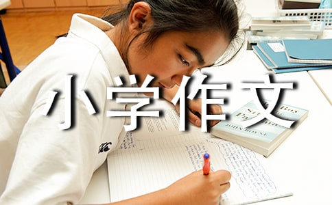 �ҵ��������С�W(xu��)����15ƪ[����]