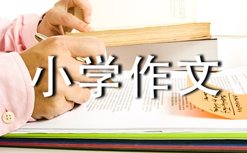 �ɐ۵�С�W(xu��)���ġ����x��