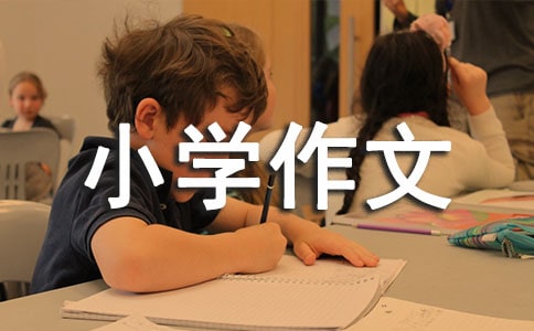 ͯԒС�W����