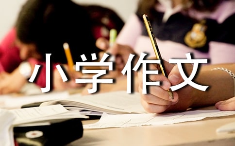 ������V��С�W(xu��)����