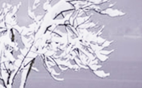 形容小雪節(jié)氣的詩句