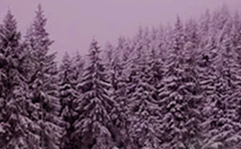 關(guān)于小雪節(jié)氣的由來