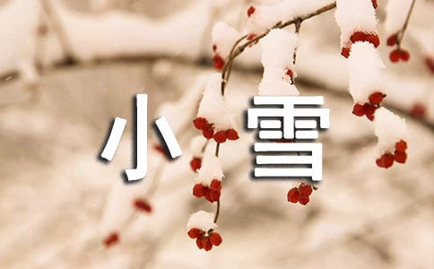 大班小雪人美術(shù)教案(通用11篇)