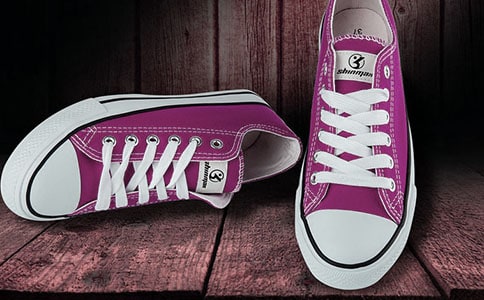 未來的鞋子作文300字(精選50篇)