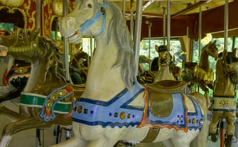 ���D(zhu��n)ľ�R������