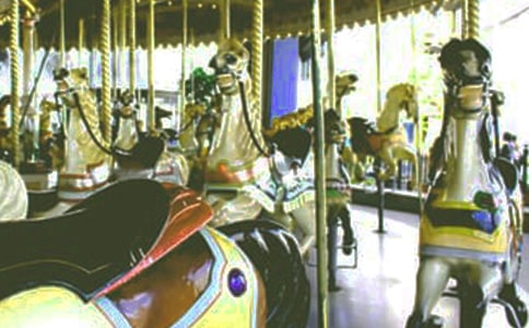 ���h(yu��n)�ĉ����D(zhu��n)ľ�R����