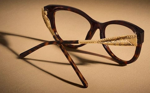 配眼鏡作文(精選)