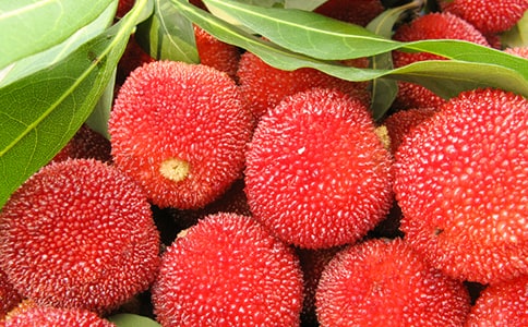 ժ��÷���ģ�ͨ��15ƪ��