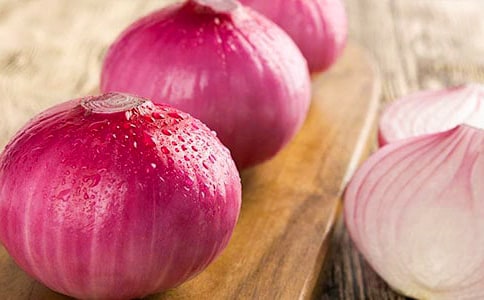 �x�����[�^�v�Uӛ���и�350��