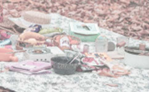 Ұ�͵����ĳ���(14ƪ)