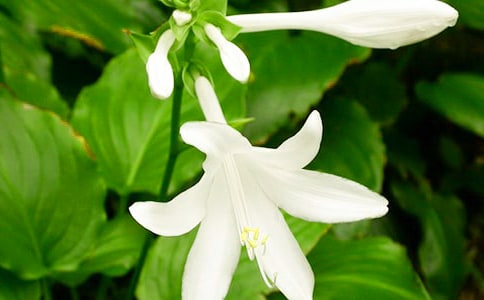 ����(j��ng)�䡿ҹ��������