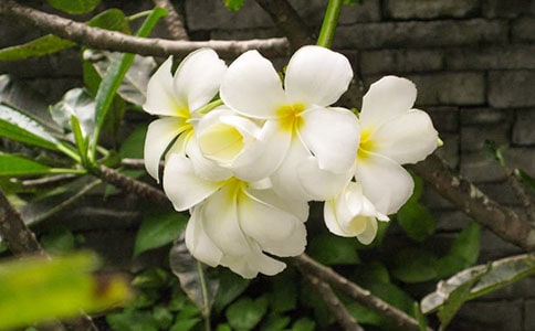 (��(y��u)��)ҹ��(l��i)������