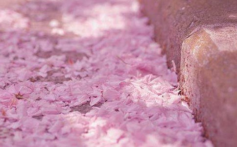 �ѻ��Ă��Ժ�������