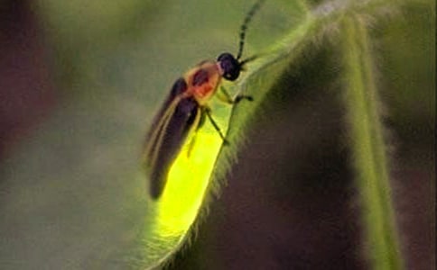 Ξ���x����