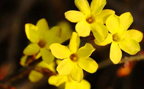 ӭ��������(��ȫ15ƪ)