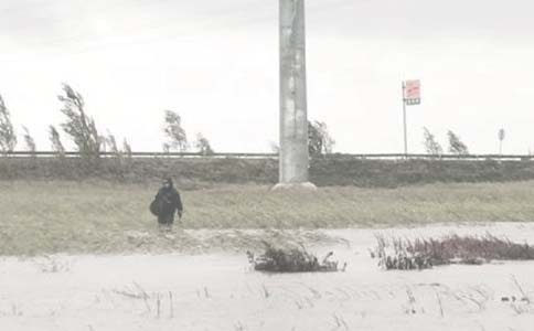 �����|(zh��)���»��(d��ng)���Y(ji��)