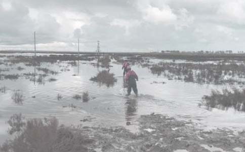 �����ļ�������������Ҫ�c(di��n)