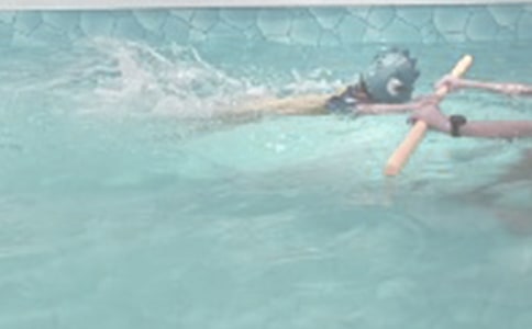 暑假游泳記作文