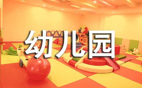 幼兒園教師個(gè)人工作總結(jié)合集(13篇)