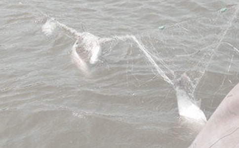 �y���ĝO�W(w��ng)������������