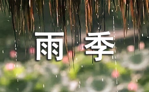 淡淡的雨季作文900字(通用29篇)