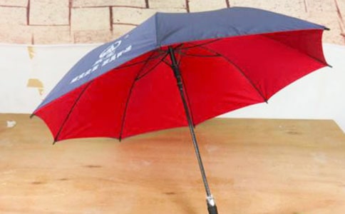 神奇的雨傘作文3篇(精品)