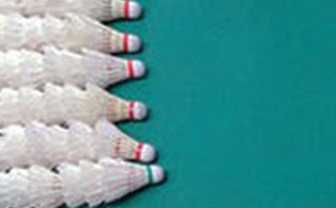 ��ë���ِ�Ļ�ӿ��Y(ji��)(15ƪ)