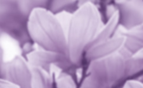 ���m������(��Ʒ)