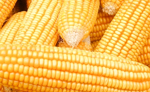 �茑(xi��)�������׵ĺö�