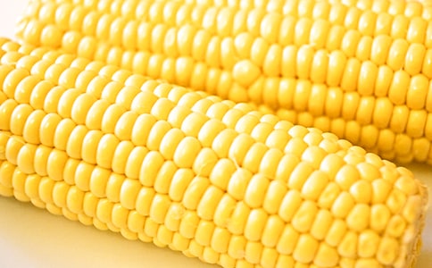 秋天的玉米作文