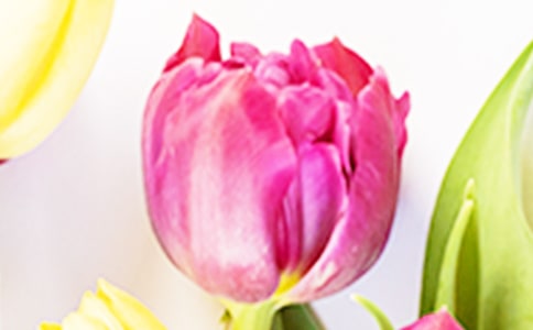 ����������15ƪ����(j��ng)�䡿