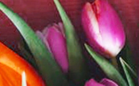 (必備)郁金香作文