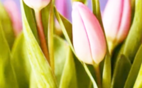 ������ɲ�����ˮ�ࣿ_1000��