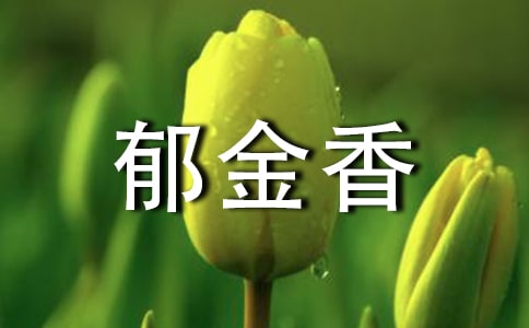 郁金香作文(通用35篇)