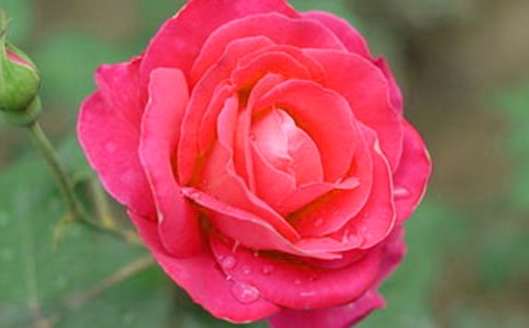 �^���¼�����ӛ200��