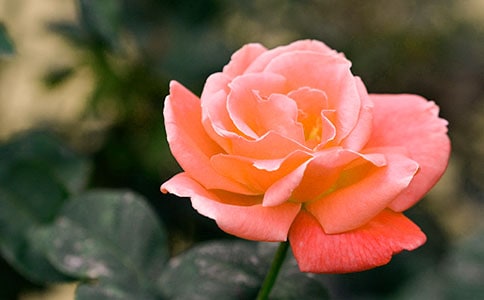 ͨ�������¼����ľ���20��