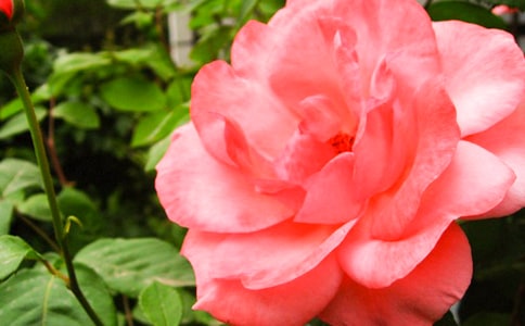 �¼������^����ӛ5ƪ