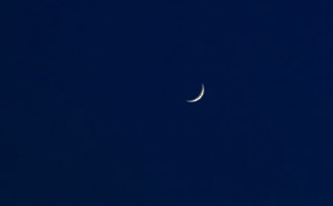 ��ҹ������������