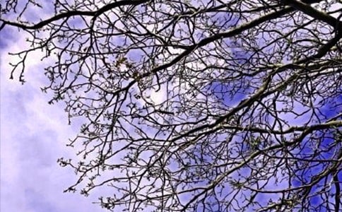 2025����˵��簲���Z����43��