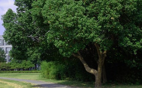 簡(jiǎn)單早安簽名匯總170句精選